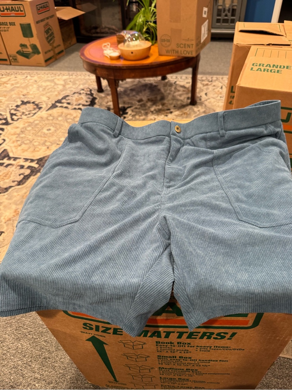 Men's Light Blue Corduroy Shorts - Casual Summer Staple